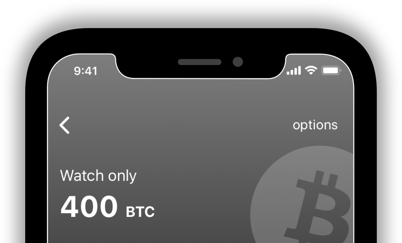 lightning network wallet