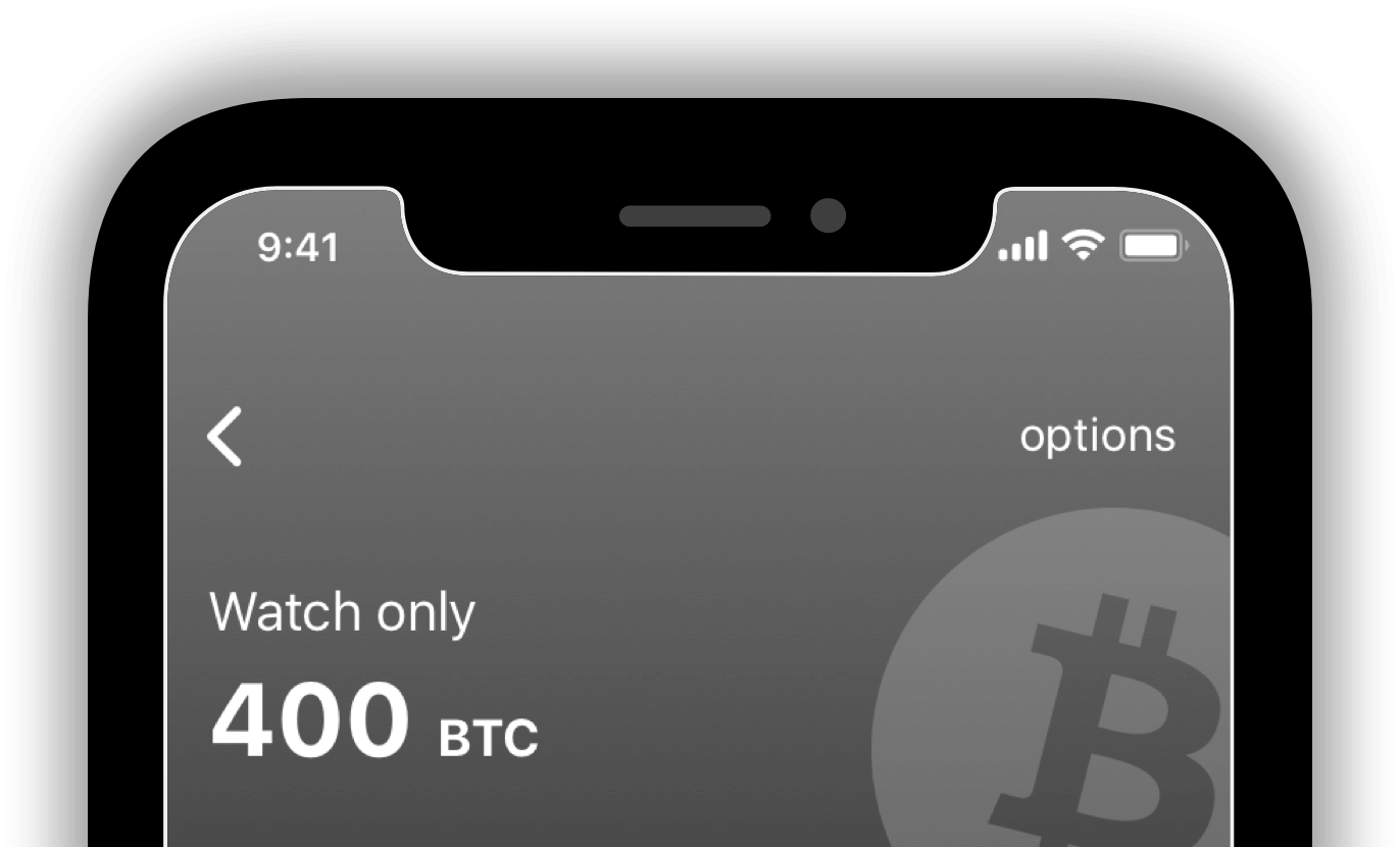 watch only crypto wallet